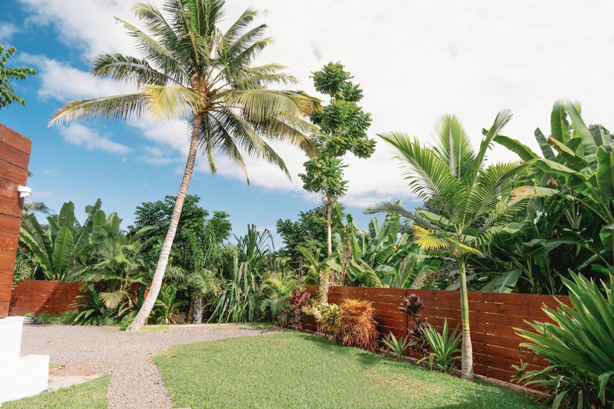 Maison Moderne Et Cosy Proche De Papeete 普纳奥亚 外观 照片
